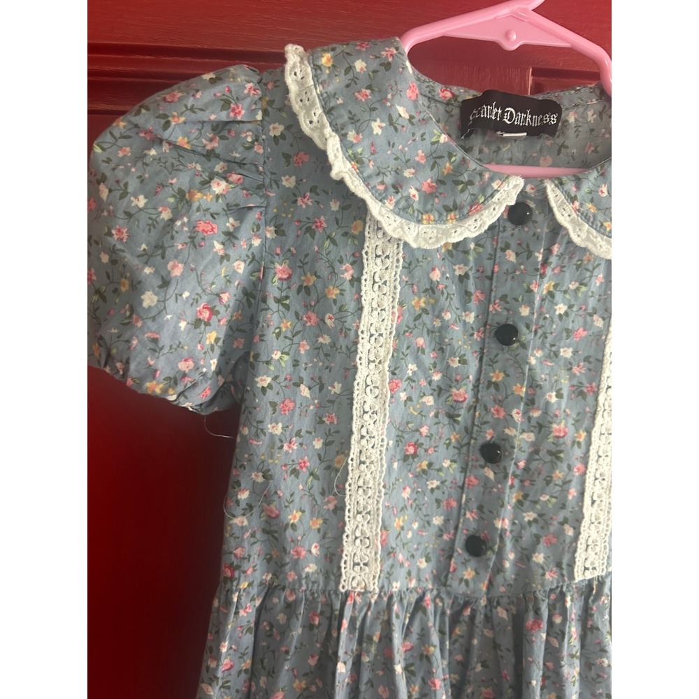 Scarlet Darkness Dress‎ Blue Floral Lace Trim Peter Pan Collar Cottagecore Bin b
